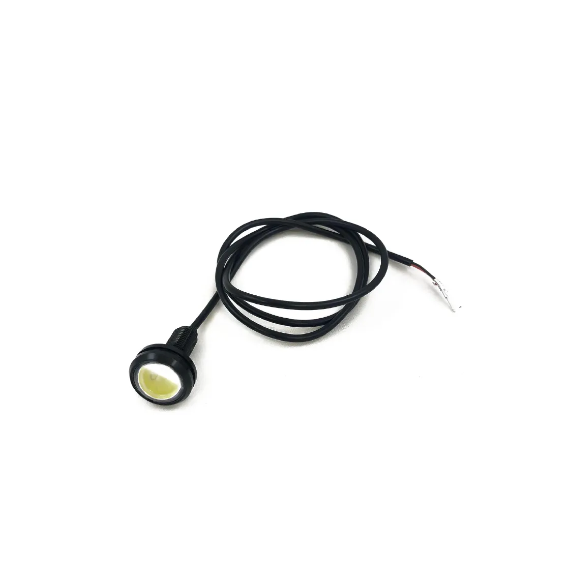 EVOLV LED Lights