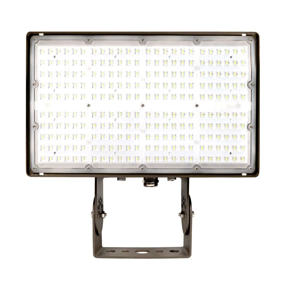 LED Flood Light
