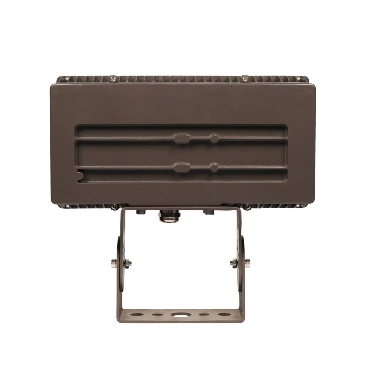 LED Flood Light