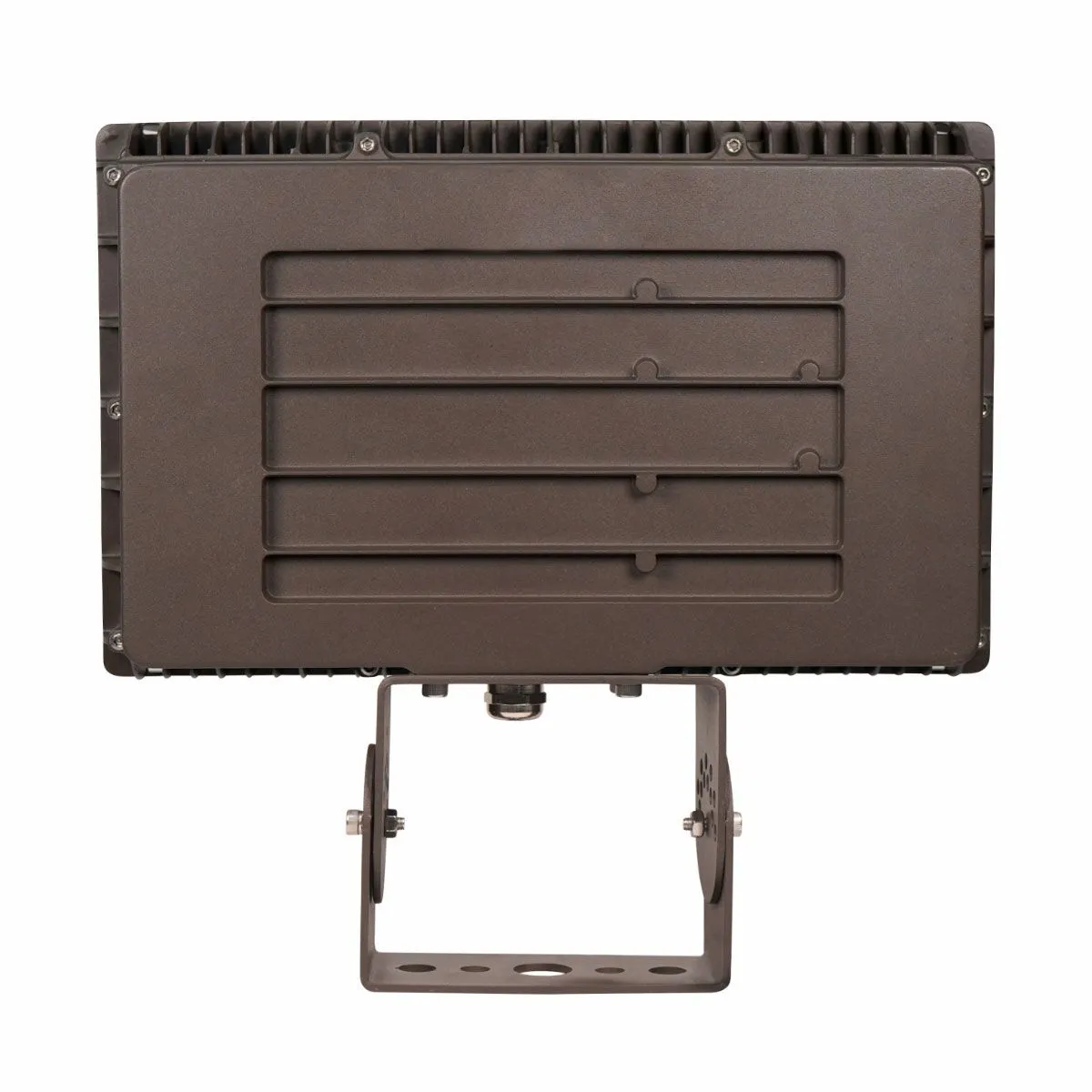 LED Flood Light