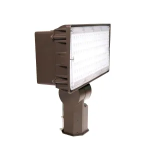 LED Flood Light