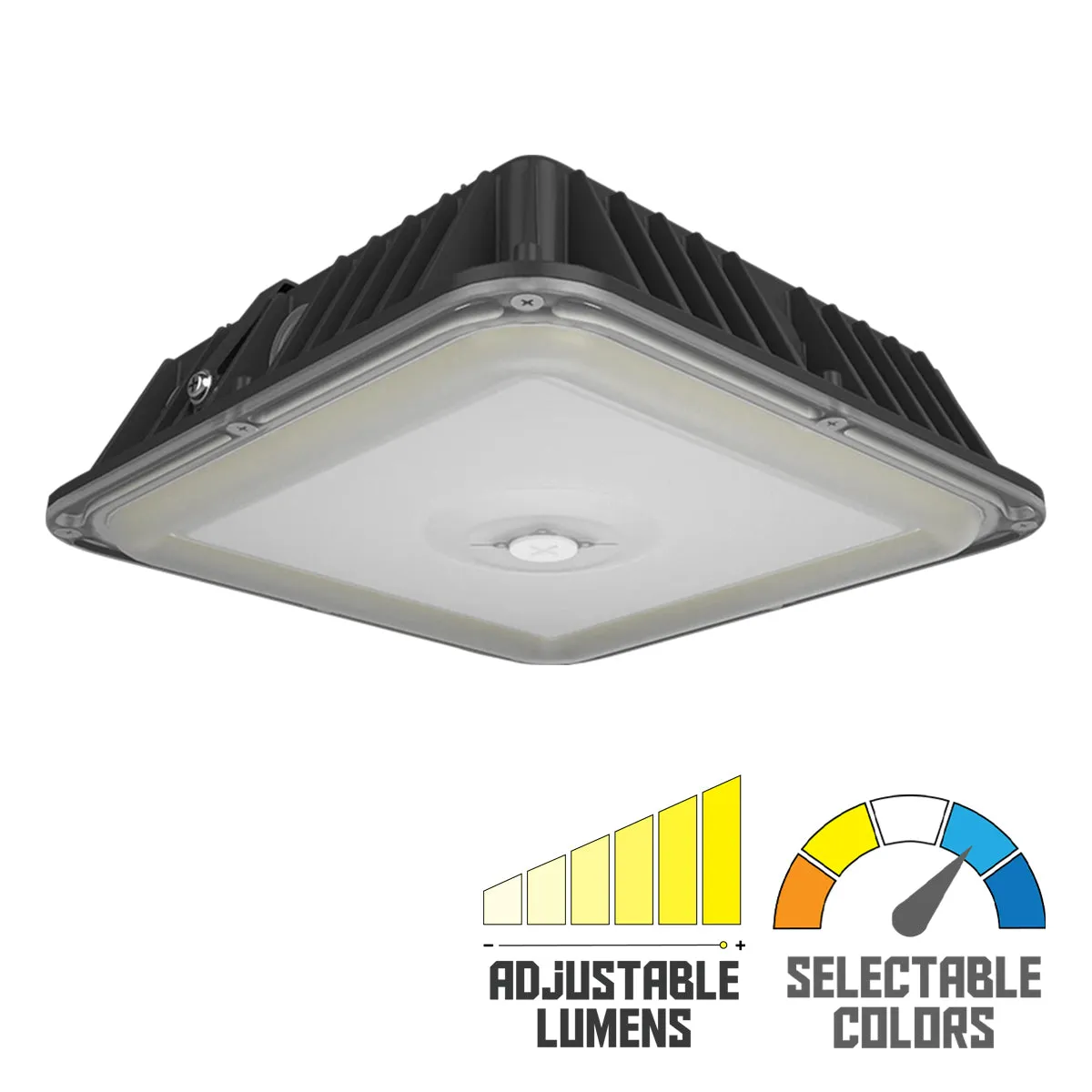 RAB VAN17 3-Way Adjustable Canopy Light
