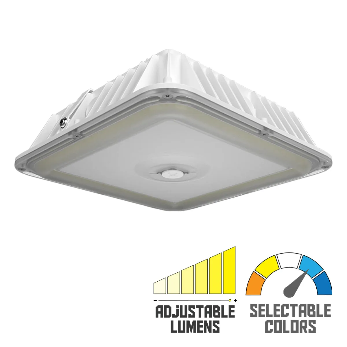 RAB VAN17 3-Way Adjustable Canopy Light