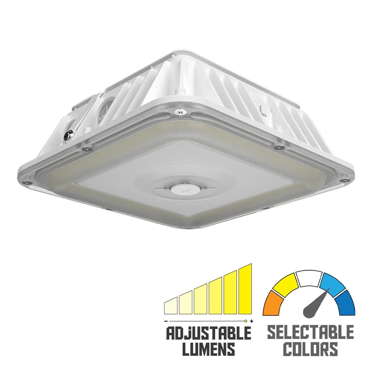 RAB VAN17 3-Way Adjustable Canopy Light