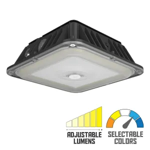 RAB VAN17 3-Way Adjustable Canopy Light