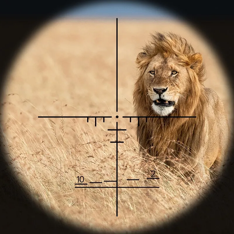SS2 4x21 AO Compact Rifle Scope